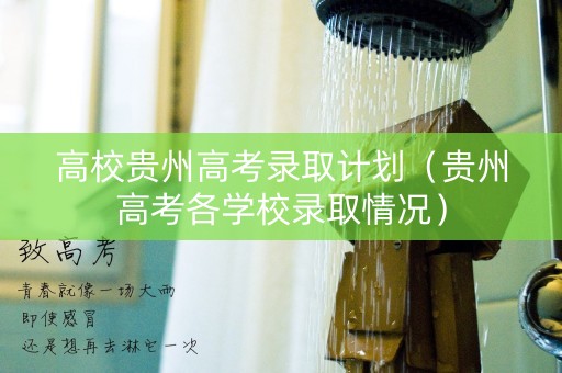高校贵州高考录取计划（贵州高考各学校录取情况）