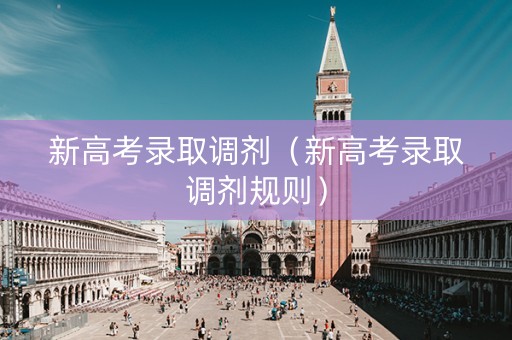 新高考录取调剂（新高考录取调剂规则）