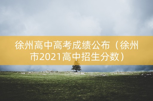 徐州高中高考成绩公布（徐州市2021高中招生分数）