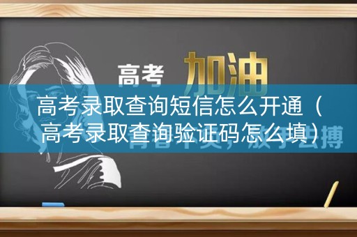高考录取查询短信怎么开通（高考录取查询验证码怎么填）