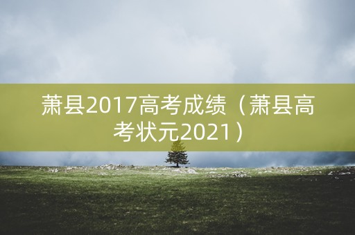 萧县2017高考成绩（萧县高考状元2021）