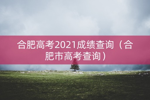 合肥高考2021成绩查询（合肥市高考查询）