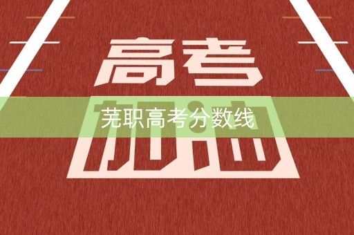 芜职高考分数线