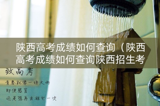 陕西高考成绩如何查询（陕西高考成绩如何查询陕西招生考试信息网）