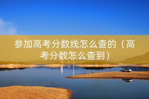 参加高考分数线怎么查的（高考分数怎么查到）