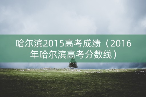 哈尔滨2015高考成绩（2016年哈尔滨高考分数线）