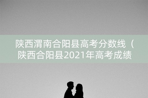 陕西渭南合阳县高考分数线（陕西合阳县2021年高考成绩）