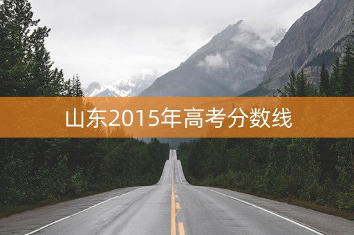 山东2015年高考分数线