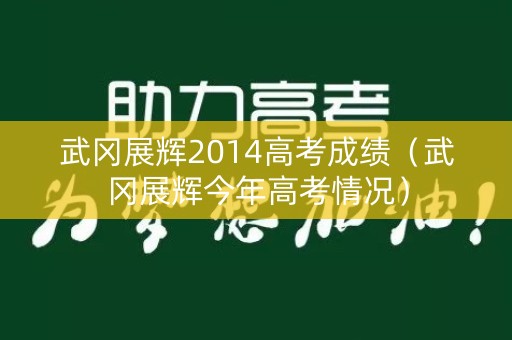 武冈展辉2014高考成绩（武冈展辉今年高考情况）