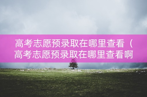 高考志愿预录取在哪里查看（高考志愿预录取在哪里查看啊）
