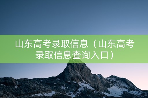 山东高考录取信息（山东高考录取信息查询入口）
