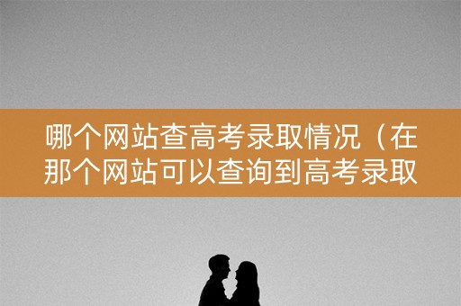 哪个网站查高考录取情况（在那个网站可以查询到高考录取情况）