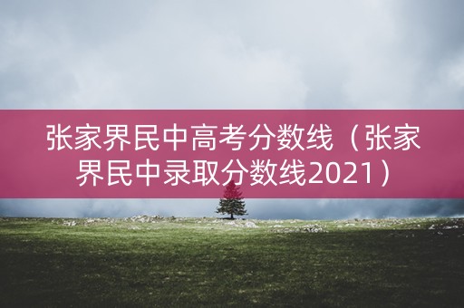 张家界民中高考分数线（张家界民中录取分数线2021）