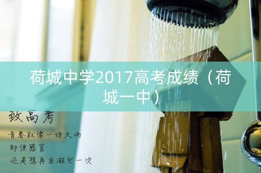 荷城中学2017高考成绩（荷城一中）