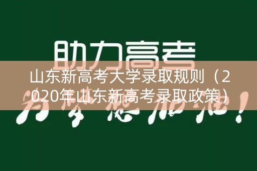 山东新高考大学录取规则（2020年山东新高考录取政策）