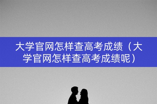 大学官网怎样查高考成绩（大学官网怎样查高考成绩呢）