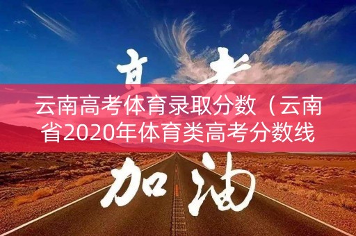 云南高考体育录取分数（云南省2020年体育类高考分数线）