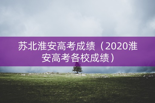 苏北淮安高考成绩（2020淮安高考各校成绩）