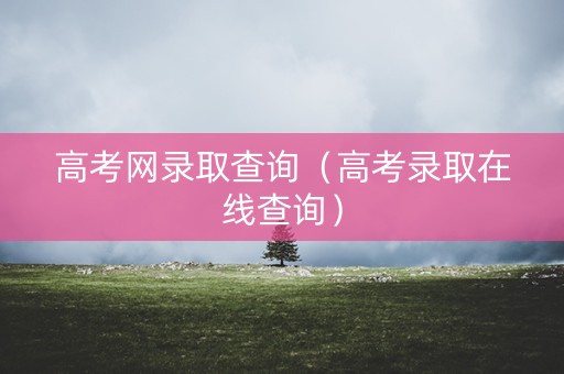 高考网录取查询（高考录取在线查询）