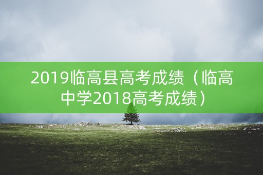 2019临高县高考成绩（临高中学2018高考成绩）