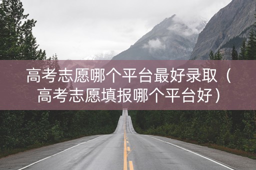 高考志愿哪个平台最好录取（高考志愿填报哪个平台好）