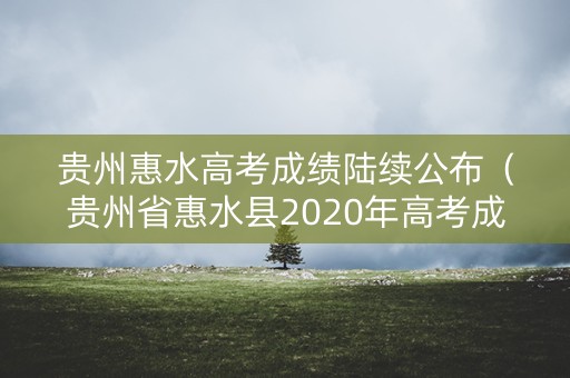 贵州惠水高考成绩陆续公布（贵州省惠水县2020年高考成绩单）