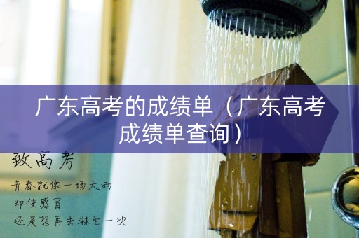 广东高考的成绩单（广东高考成绩单查询）