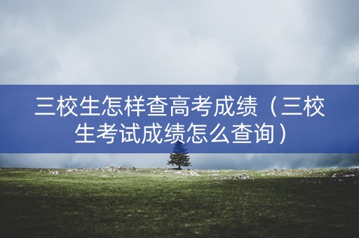 三校生怎样查高考成绩（三校生考试成绩怎么查询）