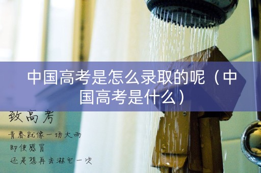 中国高考是怎么录取的呢（中国高考是什么）