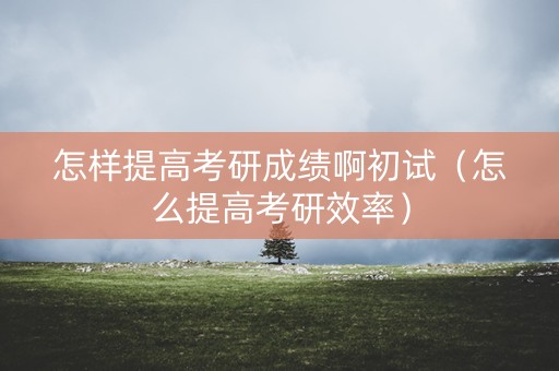 怎样提高考研成绩啊初试（怎么提高考研效率）