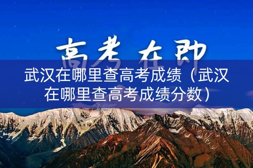 武汉在哪里查高考成绩（武汉在哪里查高考成绩分数）