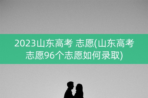 2023山东高考 志愿(山东高考志愿96个志愿如何录取)