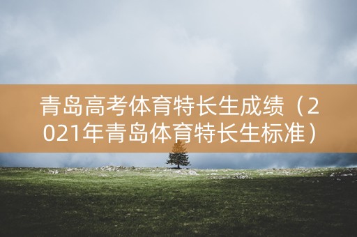 青岛高考体育特长生成绩（2021年青岛体育特长生标准）
