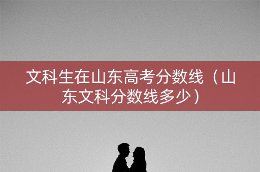 文科生在山东高考分数线（山东文科分数线多少）