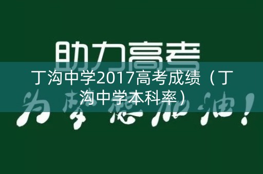 丁沟中学2017高考成绩（丁沟中学本科率）