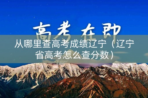 从哪里查高考成绩辽宁（辽宁省高考怎么查分数）