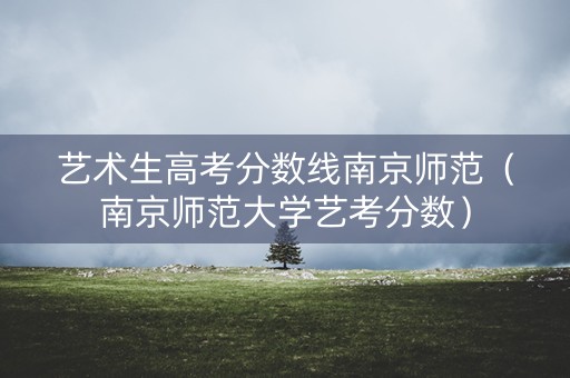艺术生高考分数线南京师范（南京师范大学艺考分数）