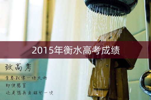 2015年衡水高考成绩