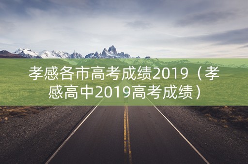 孝感各市高考成绩2019（孝感高中2019高考成绩）