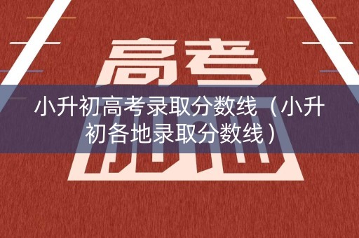 小升初高考录取分数线（小升初各地录取分数线）
