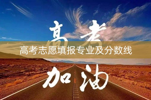高考志愿填报专业及分数线