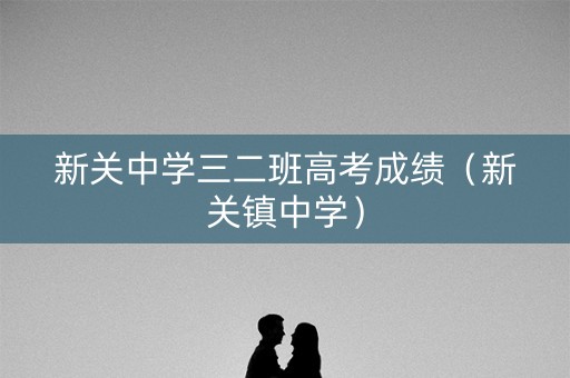 新关中学三二班高考成绩（新关镇中学）