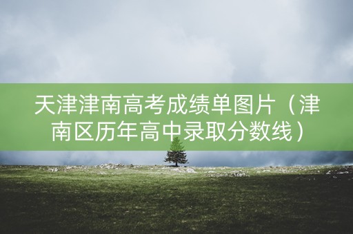 天津津南高考成绩单图片（津南区历年高中录取分数线）