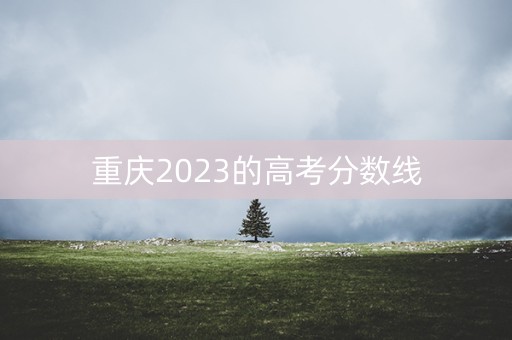 重庆2023的高考分数线