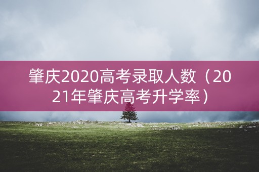 肇庆2020高考录取人数（2021年肇庆高考升学率）