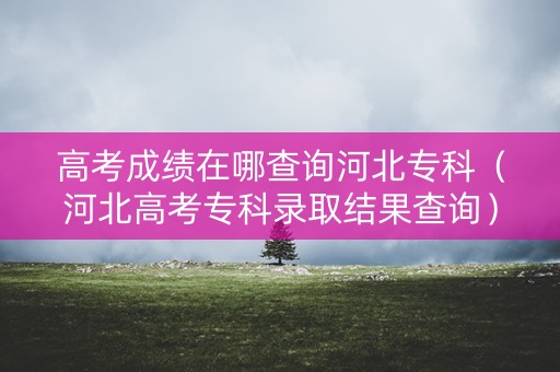 高考成绩在哪查询河北专科（河北高考专科录取结果查询）