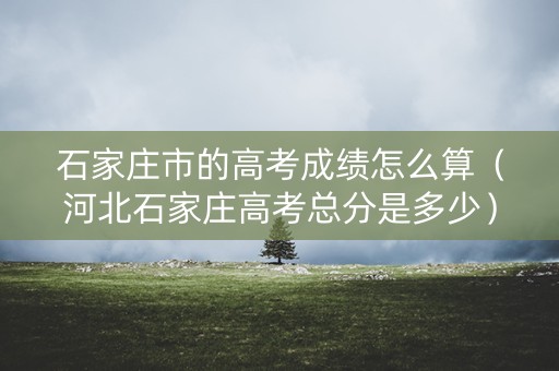 石家庄市的高考成绩怎么算（河北石家庄高考总分是多少）