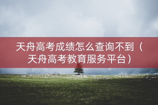 天舟高考成绩怎么查询不到（天舟高考教育服务平台）