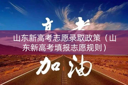 山东新高考志愿录取政策（山东新高考填报志愿规则）