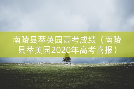 南陵县萃英园高考成绩（南陵县萃英园2020年高考喜报）